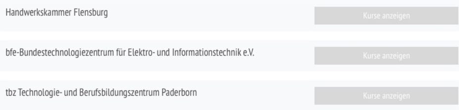 Screenshot eines Grundeintrags bei Meisterschulen.de